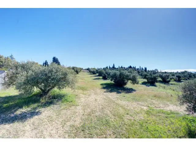 Terreno 5000m2 con 50 Olivos en Las Gabias San Javier