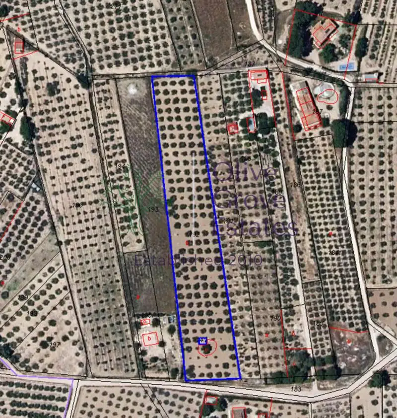 Terreno en Venta Caudete Albacete 8252m2