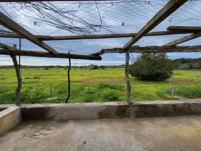 Gran Oportunidad Terreno 32000m2 Casa 71m2 Llucmajor Arenal
