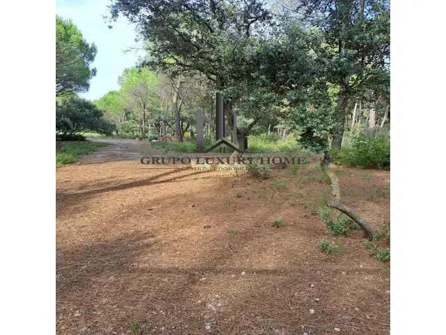 Parcela en Pinares del Jucar 10000m2