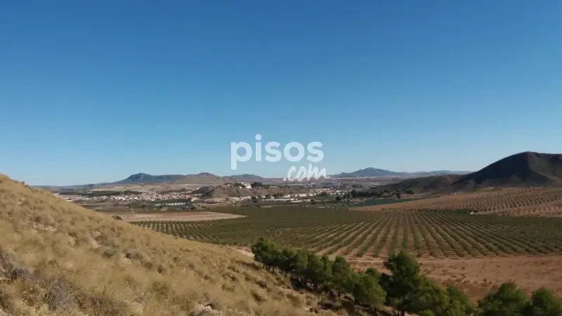 Finca rústica en venta en Calle Provincia de Albacete