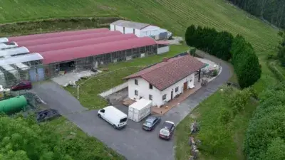Chalet Agricola 15 Hectareas Viñedo Aguacate Kiwi Invernadero