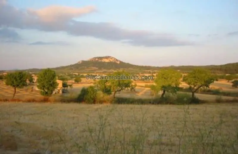Parcela en venta en Sineu