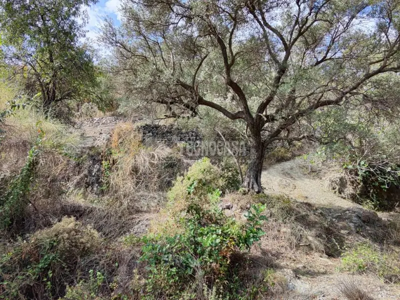 Terrenos en venta en Los Guajares