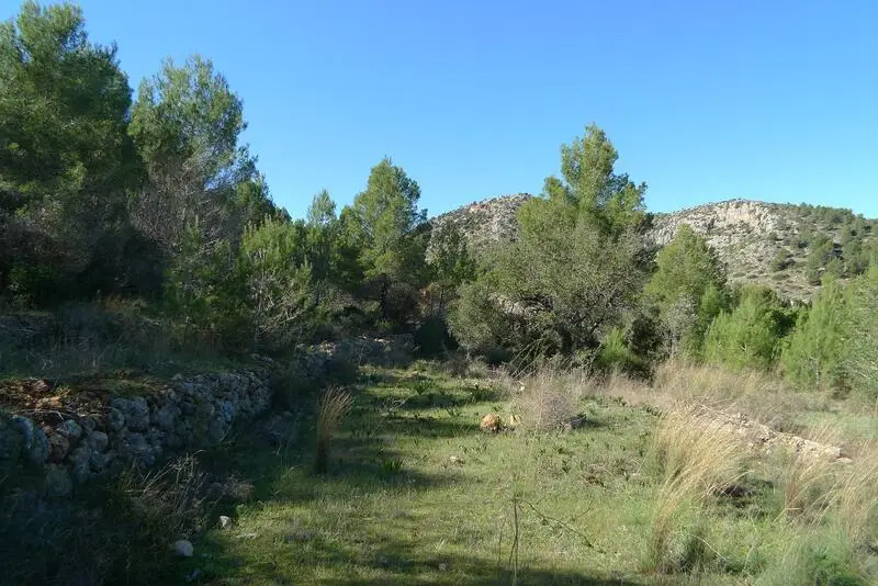Solar en Jalon con Vistas Panorámicas y Licencia de Construcción