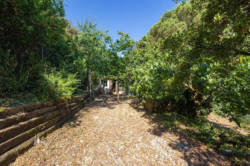 Finca Rustica en venta en Pineda de Mar