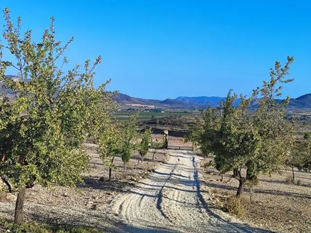 Villa 3 Dormitorios Monovar Cerca Pinoso