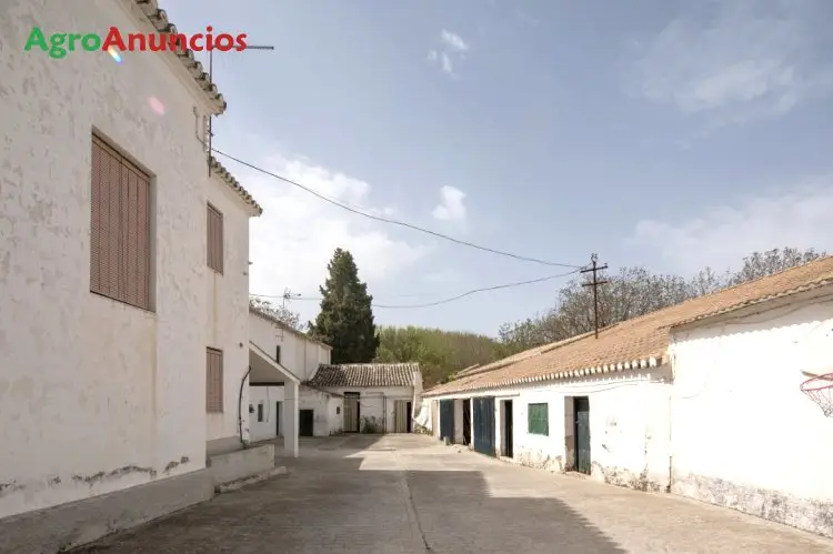 Venta  de Finca rústica ideal para yeguada en Granada