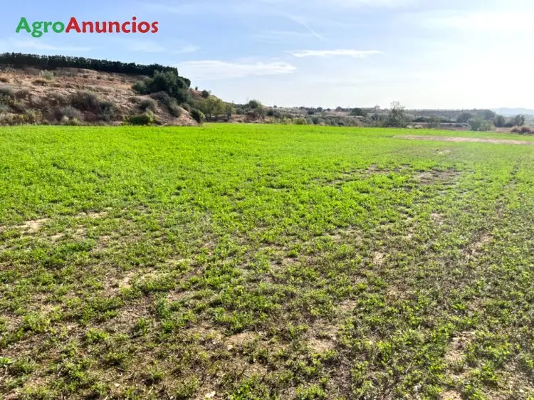 Venta  de Finca de regadío en Lleida