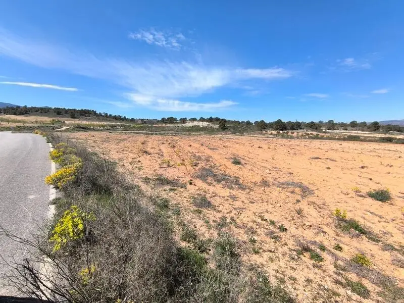 Parcela Agricola 18000m2 Cerca La Zarza Jumilla Murcia