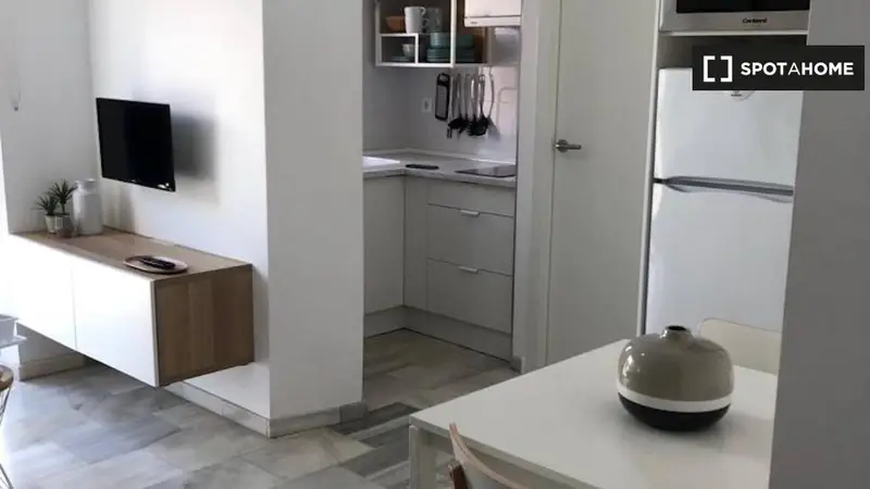 Apartamento 1 Dormitorio Alquiler San Felipe Nerí Málaga