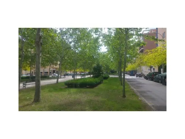 Local en Venta Paseo Condes Barcelona 228m2