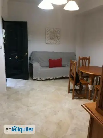 Alquiler Piso Amueblado Nervion Persona Sola