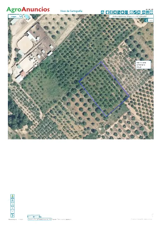 Venta  de Finca de almendros en Castellón