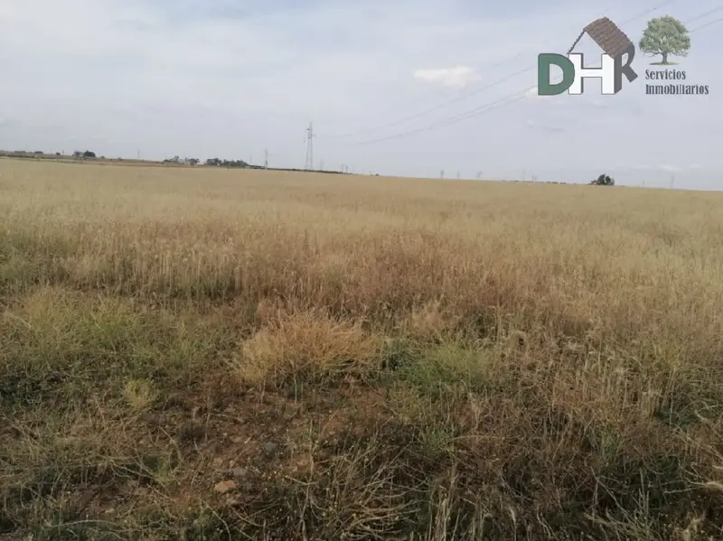 Venta Finca Rustica 14 Hectareas Badajoz