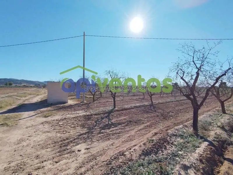 Parcela Rustica 11000m Lorca Almendros Regadio