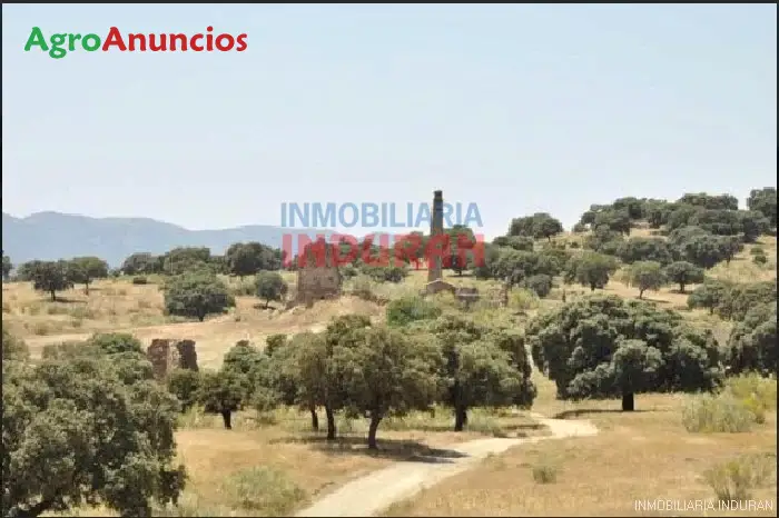 Venta  de Finca cinegética de caza mayor y menor en Ciudad Real