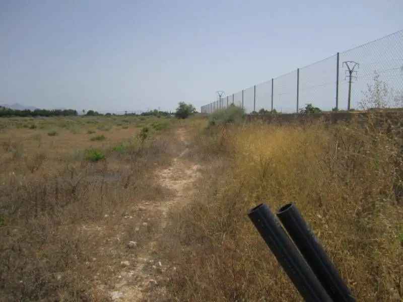 Venta Terreno Rustico Aspe 20600m2 Cerca Playa Aeropuerto