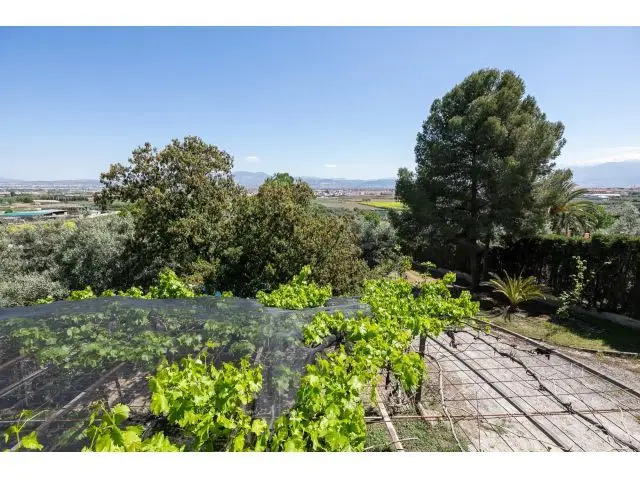 Chalet en Las Gabias 246m2 con Piscina para Reformar