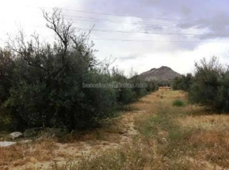 Parcela Urbanizable en Atarfe 1583m2 Edificable
