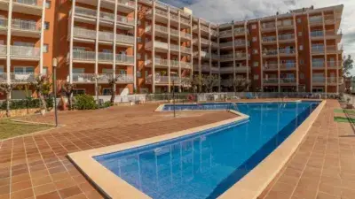 Planta Baja en Puerto Alcúdia - Cerca de la Playa