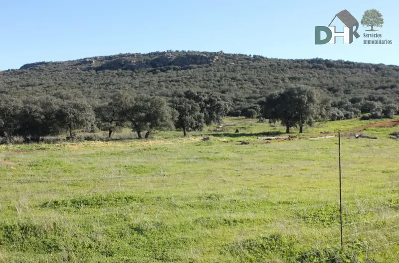 Venta Finca Rustica Ciudad Real 370 Hectareas Caza Mayor