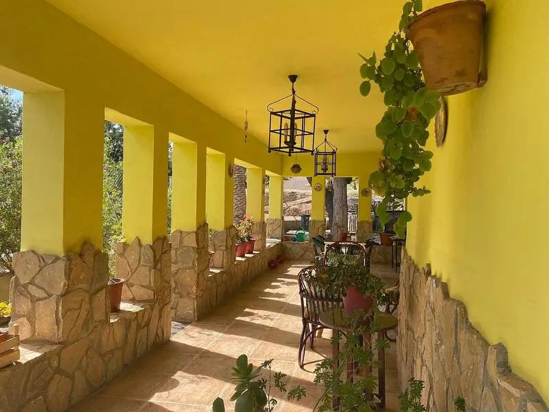 Villa 3 Dormitorios Novelda: Jardín Mediterráneo, Barbacoa y Solarium