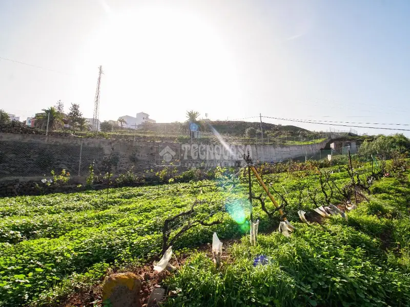 Terrenos en venta en El Sauzal