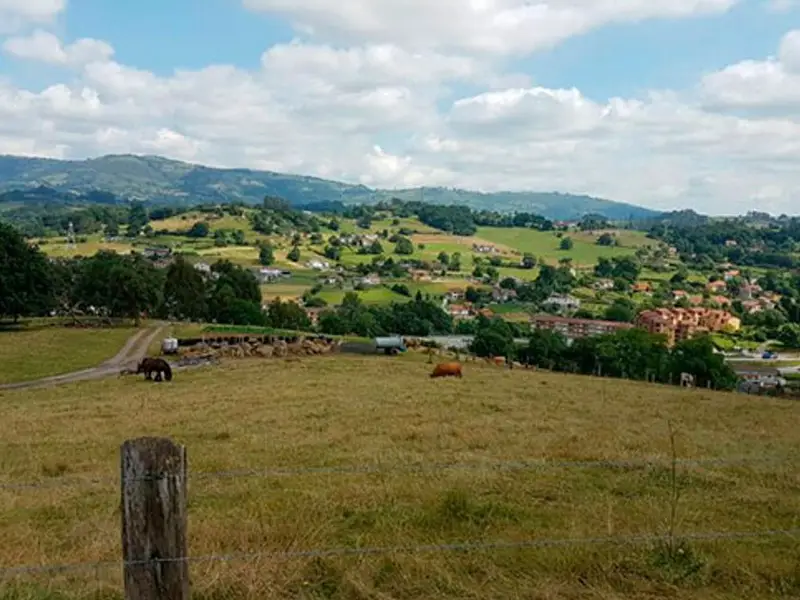 venta Terreno en Pola de Siero, Asturias (50055198)- Globaliza