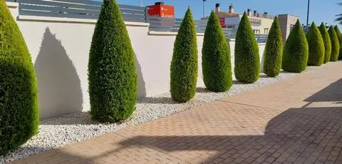 Apartamento 2 Dormitorios Orihuela Costa Lujo