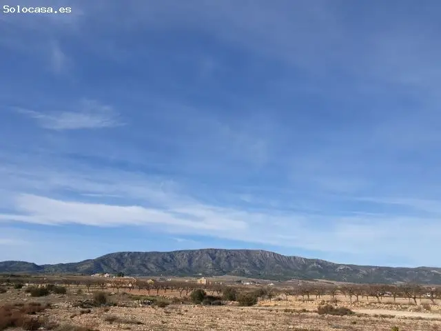 Parcela en Venta en Ubeda Cerca de Pinoso Alicante
