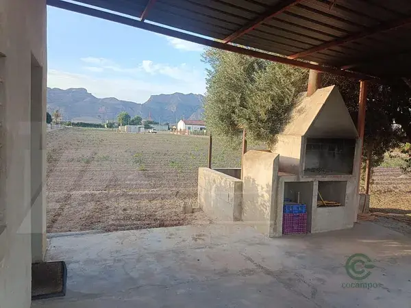 Finca Rustica Orihuela 8000m2