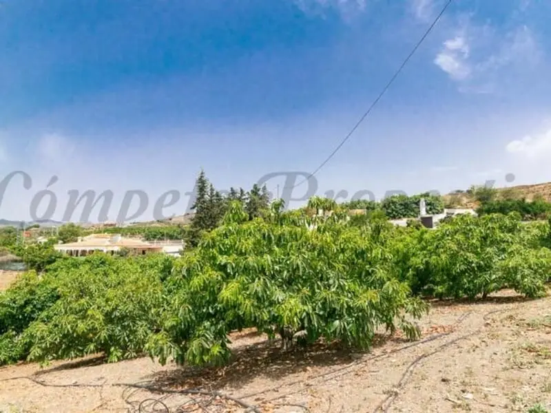 Casa de Campo 3 Dormitorios Almayate Alto Malaga
