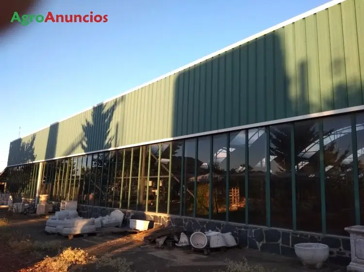 Venta  de Finca con invernadero y tres chalets en Badajoz