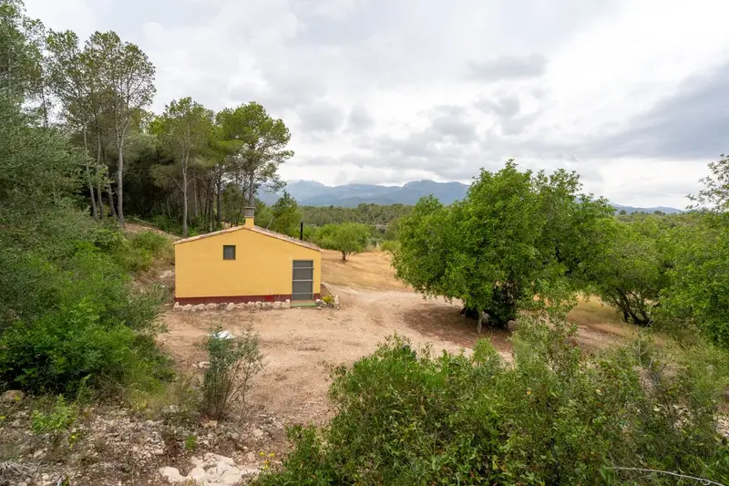 Finca Rustica en Venta Tarragona