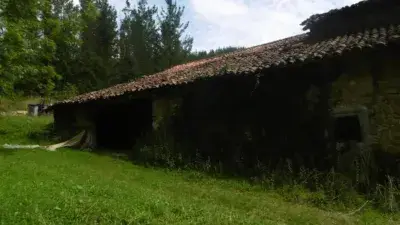 Caserio en Venta Mallabia Barrio Goita 3 Plantas Reforma Integral