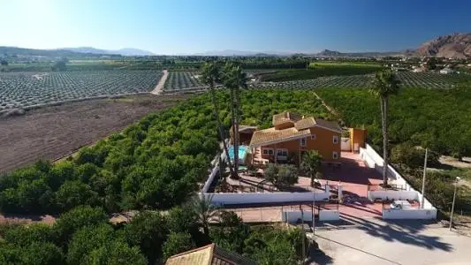 Finca Rustica 5 Dormitorios Orihuela