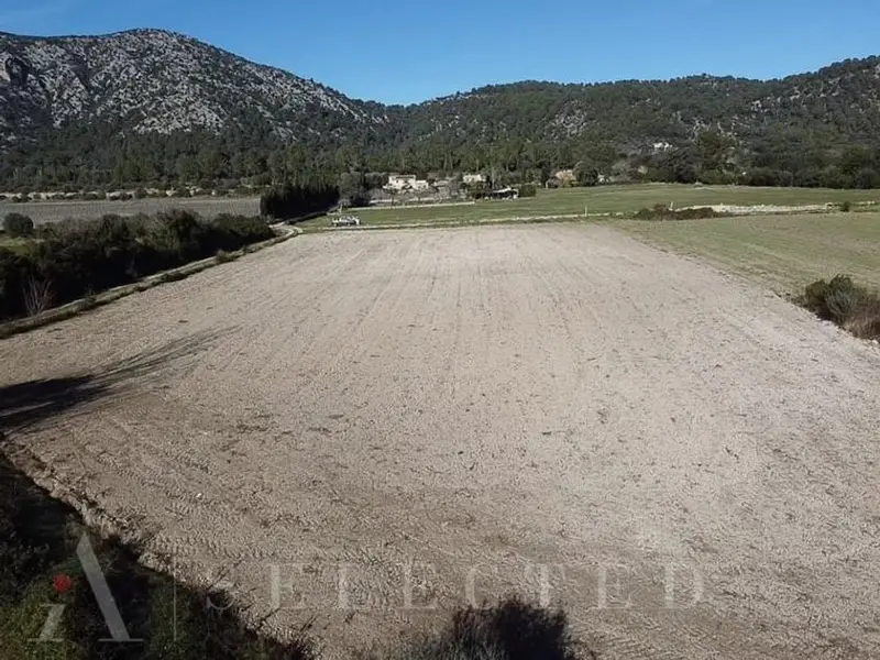 venta Terreno en Pollença, Balears (Illes) (TEJ-DTM0004)- Globaliza