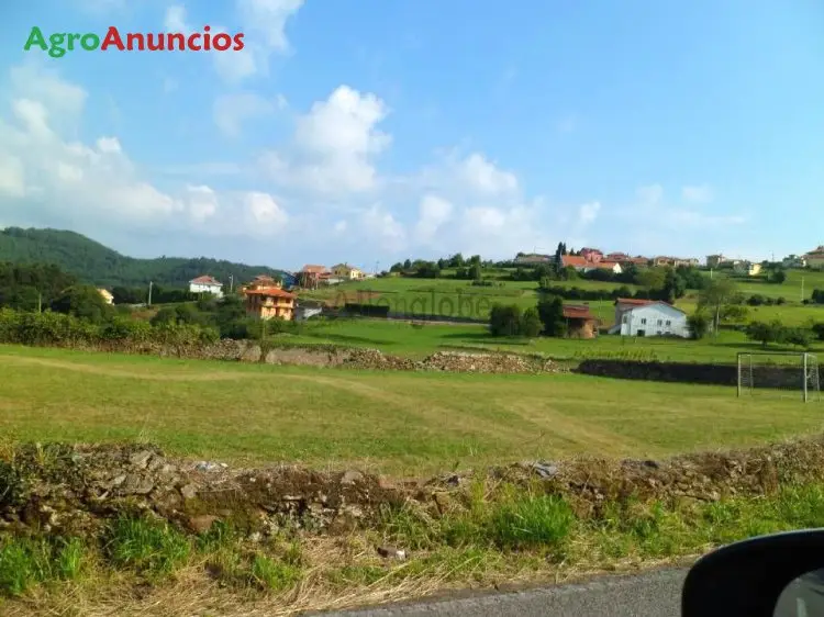 Venta  de Finca edificable con vistas a la costa en Asturias