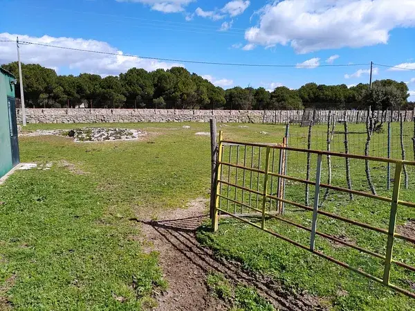 Finca Rustica El Escorial 12000m2