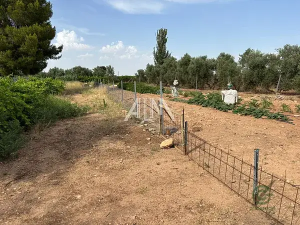 Casa de Campo en Manzanares 198m2