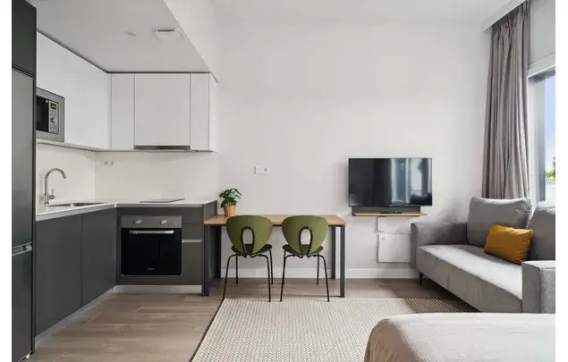 Apartamento 3 Dormitorios 27m2 Madrid Alquiler Media Temporada