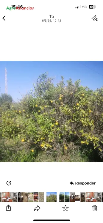 Venta  de Finca de recreo en Castellón