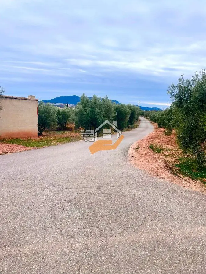 Venta Terreno Velez Rubio con Nave y Olivos