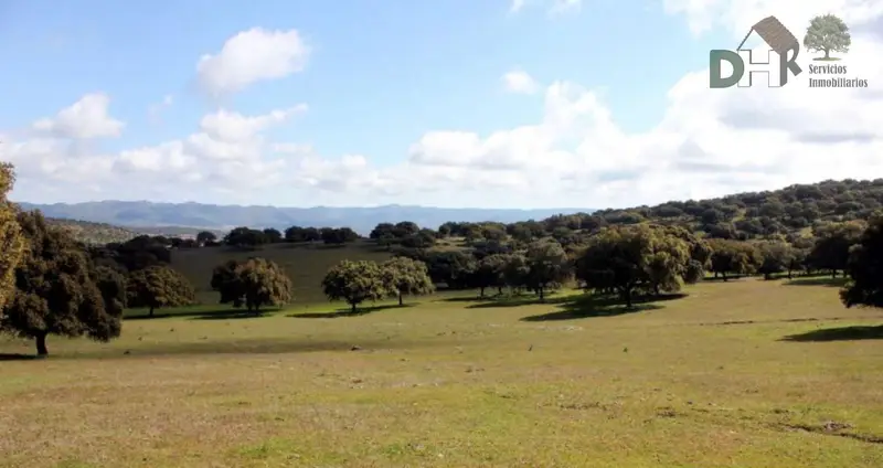 Venta Finca Rustica 80 Hectareas Caceres Dehesa Ganadera