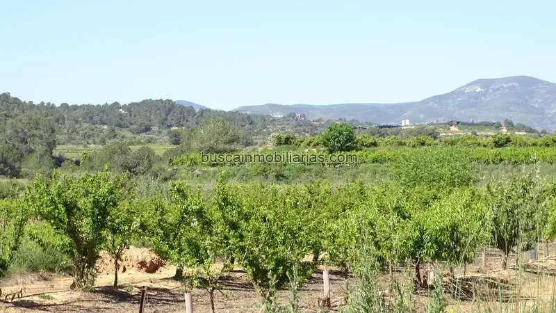 Parcela Rustica en Venta Vilamarxant 12700m2