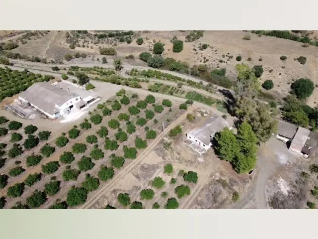 Terreno en Venta Coin 58 Hectareas Inversión Olivos Aguacates Naranjos