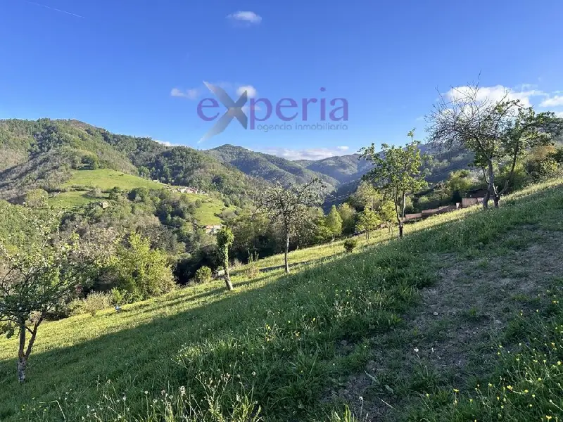 Venta Finca Edificable en Langreo 2200m2