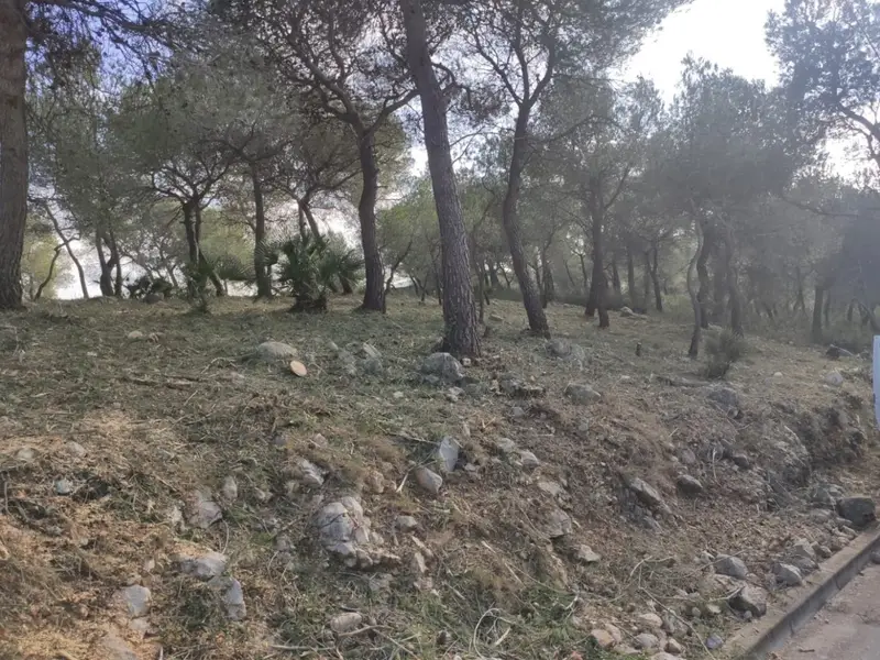 Venta Terreno 642m2 Les Palmeres Canyelles