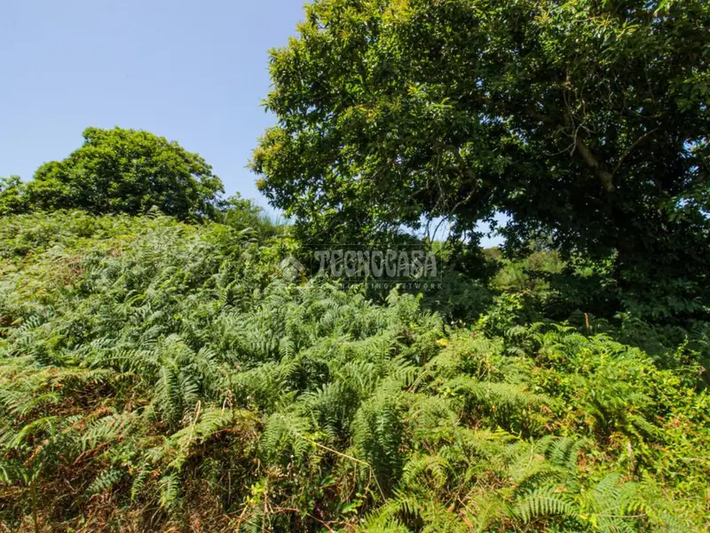 Terreno Rustico en Venta Tacoronte 3064m2 Ideal Agricultura Ganaderia